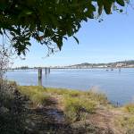 Photo by DAN HAMMOCK | GRAYS HARBOR NEWS GROUP                                The Aberdeen City Council voted Monday to close a section of city-owned land on the south side of the Chehalis River between the South Side Levee and the river to night time public access. It will remain open to public access during daylight hours.