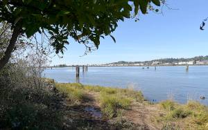Photo by DAN HAMMOCK | GRAYS HARBOR NEWS GROUP                                The Aberdeen City Council voted Monday to close a section of city-owned land on the south side of the Chehalis River between the South Side Levee and the river to night time public access. It will remain open to public access during daylight hours.