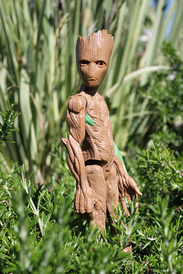 A Damon Point mystery — Gumby or Groot?