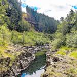 The proposed dam site is on the Chehalis River near Pe Ell in Pacific County. (Photo courtesy of The Chronicle)