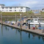 photos by DAN HAMMOCK | GRAYS HARBOR NEWS GROUP                                Word spread the coho were spotted in the Westport boat basin off the floats near the Islander Saturday, sending anglers that way early in the afternoon.
