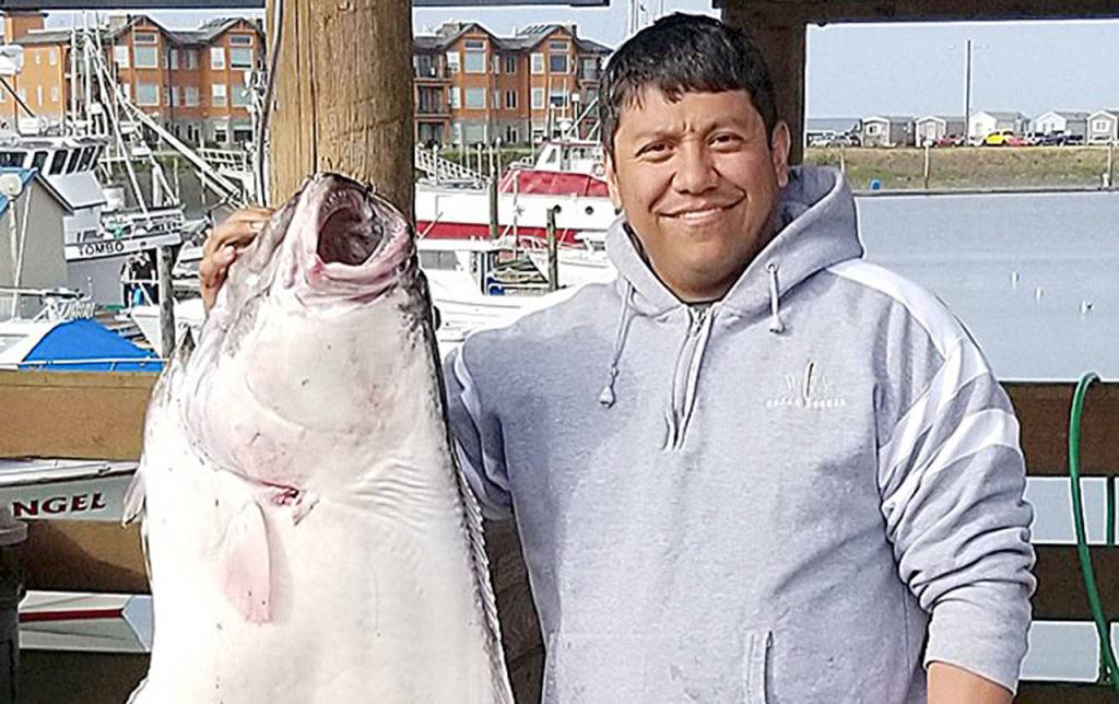 COURTESY WESTPORT WEIGHMASTER                                Jeromy Jording of Olympia won $1,000 for the largest halibut entered in the Westport Charterboat Association derby this season. He caught the 60.55-pound fish May 12.