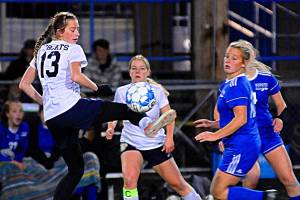 Tuesday Prep Roundup: Aberdeen beats Rochester ahead of 2A District IV Tournament