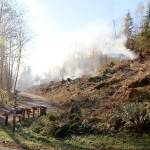A fire smolders on a hillside while crews from Grays Harbor Fire District 2 try to knock it down Tuesday afternoon, Oct. 29, 2019, east of Montesano. By 10:30 a.m. Wednesday, the fire was 100 percent contained. Crews from four East County fire agencies were called in to help fight the blaze. (Michael Lang | Grays Harbor News Group)