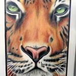 Another inmate drew this tiger with colored pencils.