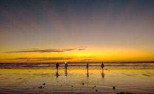 Clamming quartet