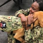 Sit, heal: Dog teaches military medical students the merits of service animals
