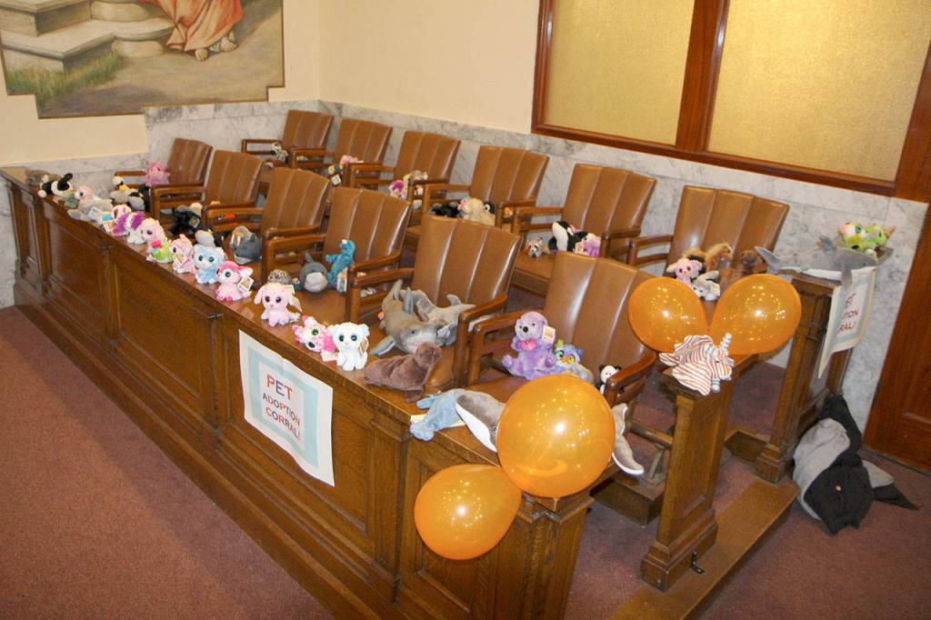 Plushies and gentle toys fill the jury box Friday during the National Adoption Day ceremony in Judge Stephen Browns courtroom at Grays Harbor County Superior Court in Montesano. (Michael Lang | Grays Harbor News Group)
