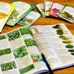 Linda Severson                                Soon after Christmas, seed catalogs start to appear in mailboxes and electronic inboxes.