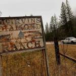 An old sign marks the entrance to the McIrvins Diamond M Ranch in Boyd. The family of Bill McIrvin are owners of the Diamond M ranch, where they raise cattle. According to wolf advocates, the Diamond M ranch is responsible for 28 of 31 wolves taken out in Washington by state officials. (Carolyn Cole/Los Angeles Times)
