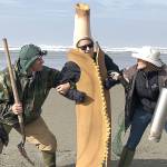 COURTESY DEPARTMENT OF FISH AND WILDLIFE                                The Department of Fish and Wildlife is asking razor clam fans around the state to weigh in on the perennial question: Which is better, clam gun or shovel? To register support for a favored digging method, clam diggers can post a photo or video, complete with hashtag #TeamClamShovel or #TeamClamGun on any social media before the end of the spring season.