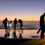 DAN AYRES | DEPARTMENT OF FISH AND WILDLIFE                                A night razor clam dig at Copalis Beach.