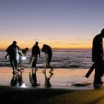 DAN AYRES | DEPARTMENT OF FISH AND WILDLIFE                                A night razor clam dig at Copalis Beach.