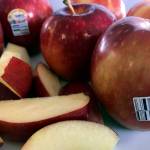 Sales strong as new apple gets cosmic response