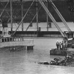 The M.S. Sierra — Forty years in the mud