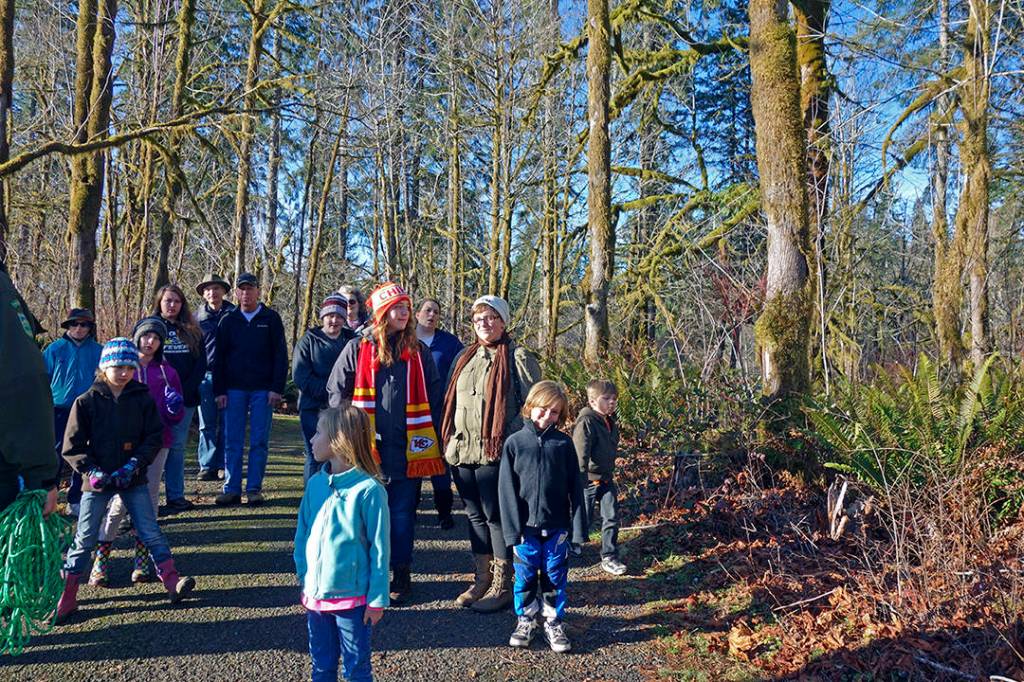 Courtesy Washington State Parks                                Schafer State Parks scenic trail winds through the woods near the Satsop River.
