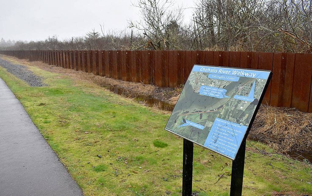DAN HAMMOCK | GRAYS HARBOR NEWS GROUP                                Sheet pile, like this on the South Side Levee along the Chehalis River, would make up the bulk of the proposed North Shore Levee West Segment in Hoquiam.