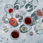 Dry January isn’t for everyone