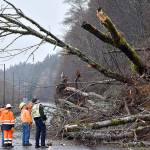 City of Hoquiam and State Department of Transportation workers, along with Hoquiam Police Chief Jeff Myers, assess the slide that closed State Route 109 just west of milepost 2 early Tuesday morning. The roadway was blocked in both directions with a detour set up at the State Route 109 spur. (Dan Hammock/Grays Harbor News Group)