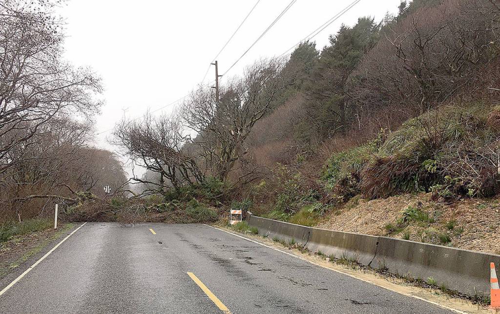 State Route 109 south of Taholah was closed in both directions until further notice after this landslide covered the roadway late Monday night. (Photo courtesy WSDOT)