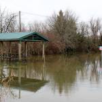 A shelter at Vance Creek County Park is flooded Wednesday near Elma. (Michael Lang | Grays Harbor News Group)