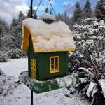 Vicky Olson photo                                Vicky Olson of Neilton sent us this colorful pic of her snow-covered bird feeder.