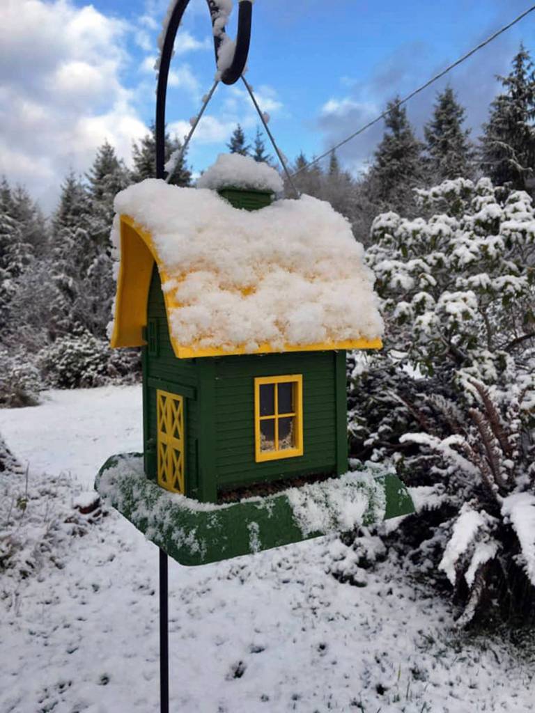 Vicky Olson photo                                Vicky Olson of Neilton sent us this colorful pic of her snow-covered bird feeder.