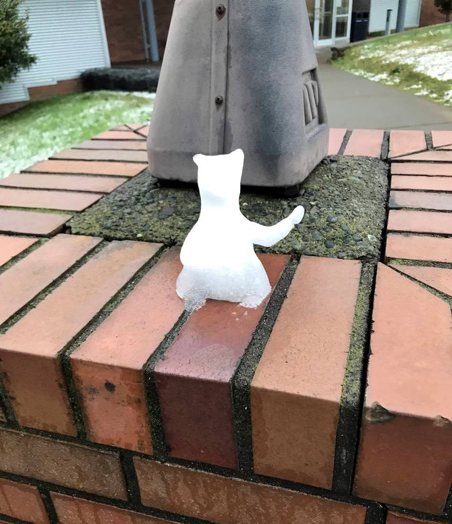 Kathy Barker photo                                Somebody made good use of the little bit of snow at Grays Harbor College to build a tiny snow bear.