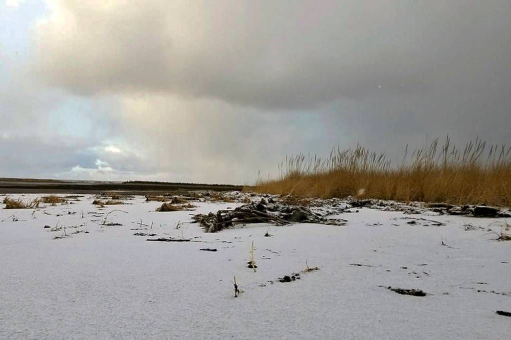 Judith Altruda photo                                South Beach artist Judith Altruda took this photo along the Tokeland shoreline.