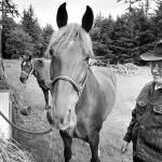 FILE PHOTO                                David Foscue and his trusty Tennessee Walker, Stub. The two of them, along with an ornery but loyal mule named Ernie, traveled the length of the Pacific Crest Trail - some 2,650 miles from Mexico to Canada - over the course of nine years.