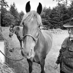 FILE PHOTO                                David Foscue and his trusty Tennessee Walker, Stub. The two of them, along with an ornery but loyal mule named Ernie, traveled the length of the Pacific Crest Trail - some 2,650 miles from Mexico to Canada - over the course of nine years.
