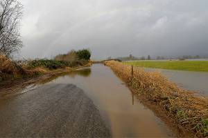 Forecasters say high water will linger