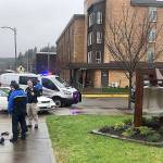 COURTESY HOQUIAM POLICE DEPARTMENT                                An Elma man was detained after parking a vehicle on the sidewalk and displaying a knife in front of Hoquiam City Hall Wednesday afternoon.