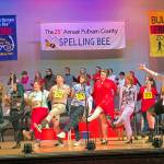 To Bee or not to Bee? There’s no question