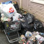 COURTESY HOQUIAM POLICE DEPARTMENT                                 Trash piled up alongside a property in the 300 block of Eklund Avenue condemned by the City of Hoquiam on Jan. 28.