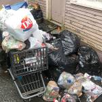COURTESY HOQUIAM POLICE DEPARTMENT                                 Trash piled up alongside a property in the 300 block of Eklund Avenue condemned by the City of Hoquiam on Jan. 28.