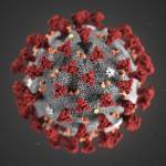 Courtesy U.S. Centers for Disease 
Control and Prevention                                This is an illustration of the 2019 Novel Coronavirus, which was identified as the cause of an outbreak of respiratory illness first detected in Wuhan, China.