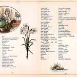 New York Public Library collection                                Pages from The Language of Flowers, illustrated by Kate Greenway, shows examples of floriography for the rose.