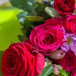 Vien Hoang photo                                The consummate symbol of Valentines Day is the red rose.