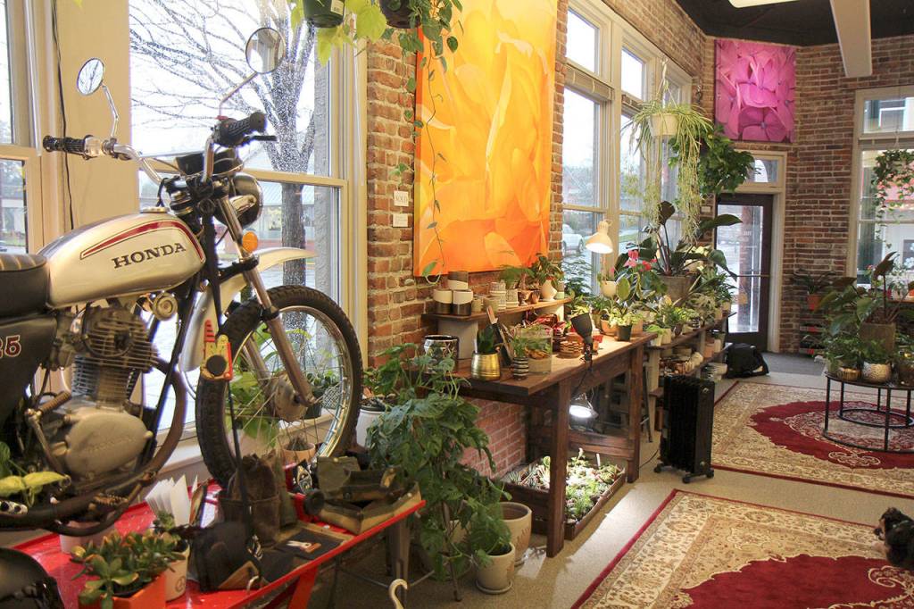 Michael Lang | Grays Harbor News Group                                A dirt bike serves as window dressing at the Moore Gallery in Montesano.