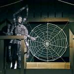 Charlotte the barn spider (played by Mikaela Murphy) speaks from the rafters.