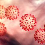 This illustration provided by the Centers for Disease Control and Prevention in January 2020 shows the 2019 Novel Coronavirus. This virus was identified as the cause of an outbreak of respiratory illness first detected in Wuhan, China.