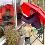 Your Stories: High-tech family reunion through the window