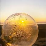 Light Bulb Sunset by Lauren King of Aberdeen High School.