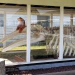 Julie Smith of the Westport Maritime Museum has placed stuffed animals in several windows for seekers. (Photo courtesy Julie Smith)