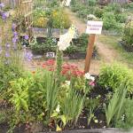 Garden by the Sea in Ocean Shores has 42 public plots for rent. It also has several demo beds, where they train gardeners on what grows best in the local climate.