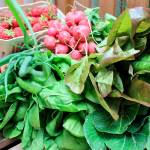 The reward for a season of vegetables grown at home.