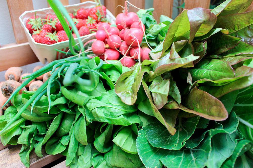 The reward for a season of vegetables grown at home.