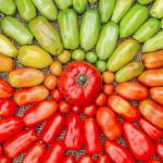 Tomatoes come in a wide variety of shapes, sizes and colors.