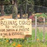 How a reclusive ‘town of aging hippies’ worked to screen itself from coronavirus